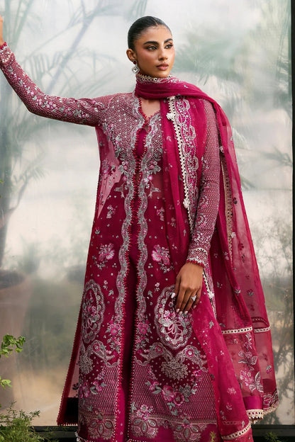 La Fuchsia Festive`25 by Afrozeh ROWAN